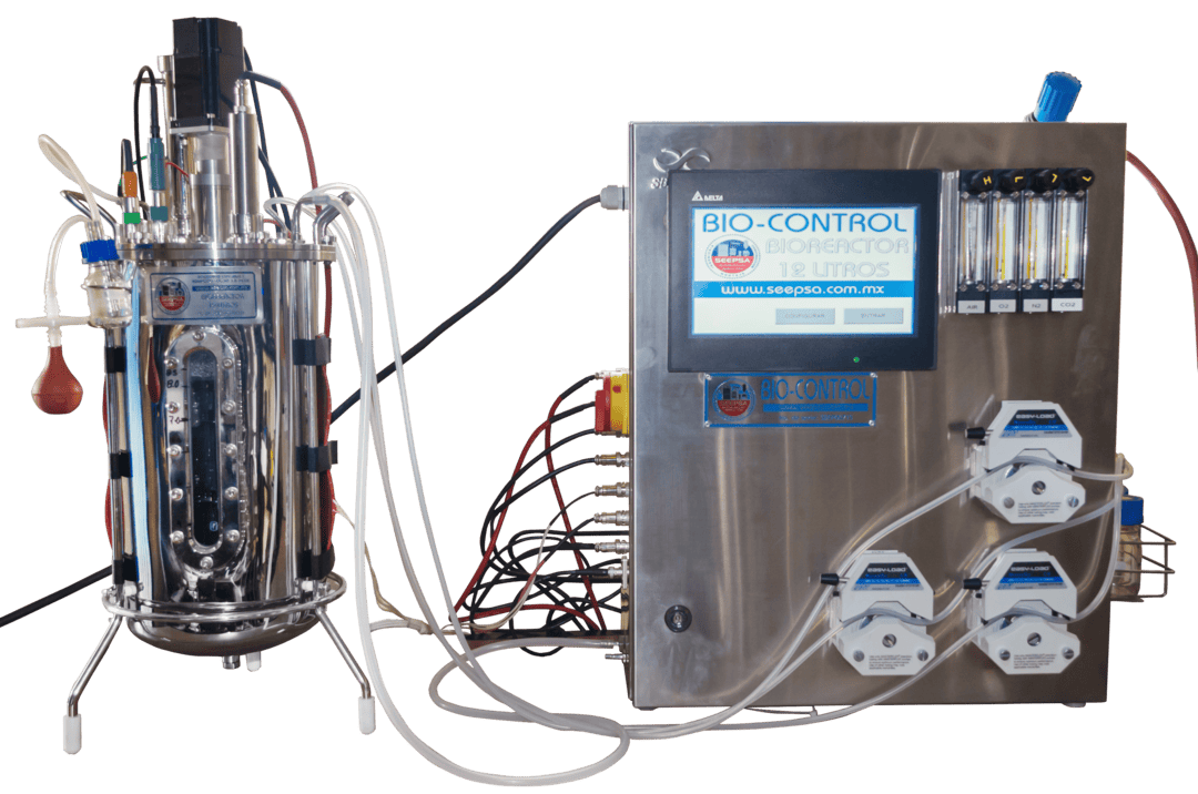 Biorreactor de tanque agitado 12L